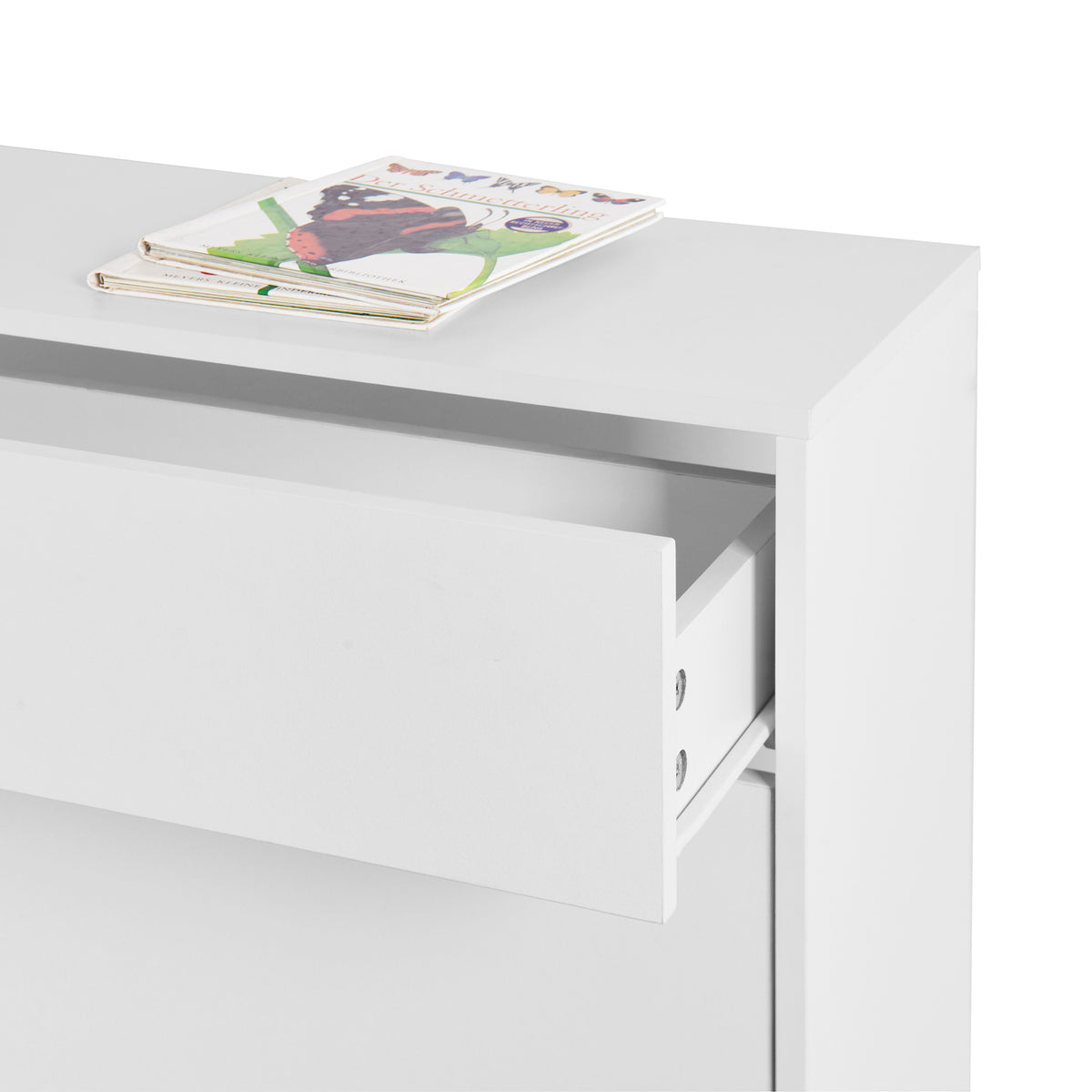 Shoe Cabinet with Two Flip Drawers