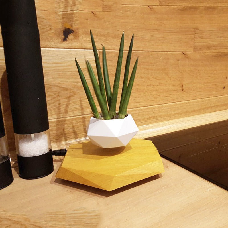 Magnetic Levitation Plant Pot
