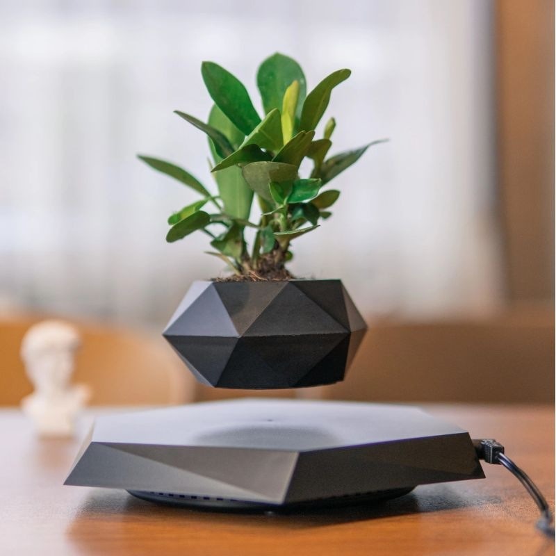 Magnetic Levitation Plant Pot