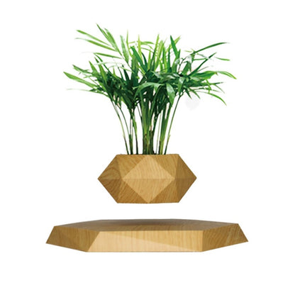 Magnetic Levitation Plant Pot